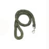 Nylon Dog Harness Leash Set 6