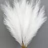 Artificial Pampas Grass Red Faux Reeds Decor 55cm Set 12