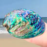Natural Paua Abalone Shell Smudge Kit With Stand 5