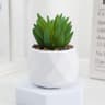 Mini Artificial Succulent Bonsai Plant Decor 6