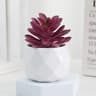 Mini Artificial Succulent Bonsai Plant Decor 14