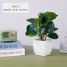 Mini Artificial Bonsai Tree Potted Plant Decor 4