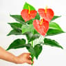 Artificial Monstera Leaf Tropical Decor Plant 6