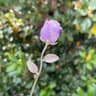 Crystal Rose Quartz Flower Ornament 20
