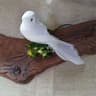 Artificial Dove Bird Decor Realistic Pigeon For Home And Events 15