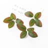 Artificial Green Silk Flowers Set 6