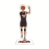 Haikyuu Acrylic Stand Volleyball Anime Figure Desk Decor 20