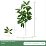 Artificial Eucalyptus Leaf Flower Arrangement Decor 17
