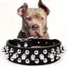 Adjustable PU Leather Spike Pet Collar 6