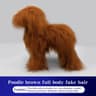 Realistic Poodle Grooming Practice Dog Model 10