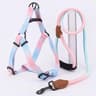 Adjustable Soft Mesh Dog Harness And Leash Set 3