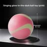 Glow In The Dark Durable Dog Fetch Ball 7