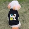 Goofy Printed Soft Breathable Pet T Shirt 1