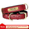 Custom PU Leather Dog Collar With Engraved Nameplate 7