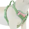 Breathable No Pull Adjustable Dog Harness 17