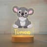 Personalized USB Acrylic Night Light Custom Name Animal Lamp For Kids Bedroom 16