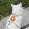 Adjustable Flower Cat Harness And Leash Set 5