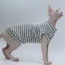 Summer Cooling Vest For Hairless Cats 2