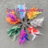 Feather Cat Teaser Replacement Toy Set 6