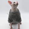 Fluffy Double Sided Winter Jacket For Sphynx Cats 6