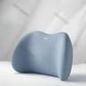 Ergonomic Car Lumbar Support Memory Foam Cushion 11