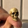 Mini Skeleton Skull Model 1 To 12 Scale Halloween Decoration 6