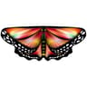 Kids Butterfly Wings Fairy Cape Costume 6