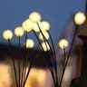 Solar Dandelion Garden Lights 6