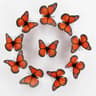 3D Monarch Butterfly Decoration Set 9