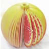 Cute Fruit Sticky Notes Memo Pad Set 9