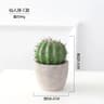 Artificial Cactus Ball Potted Plant Decor 6