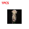 Colorful Gradient Jellyfish LED Hanging Night Light 10