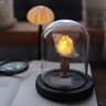 DIY Sea Creature Mushroom Night Light With Shell And Conch Decor 4