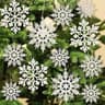 12 Piece Paper Snowflake Christmas Hanging Ornaments 11