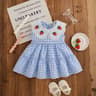Toddler Girl Red Check Dress With Strawberry Embroidery 9