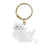 Transparent Pet Hair Keepsake Capsule Keychain  Sentimental Cat  Dog Hair Storage Box 6