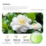 WallMounted Smart Essential Oil Diffuser  Rechargeable Automatic Air Freshener For Home  Bathroom 11