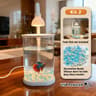 Mini Desktop Aquarium Starter Kit With LED Light  Compact Betta Fish Tank  Small Tabletop Aquarium  8
