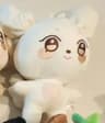 Aniteez Plush Doll  ATEEZ Plush Keychain  Kawaii Stuffed Animal Room Decor Collectible 18