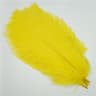 10Pack Colored Ostrich Feathers For Crafts  Wedding Centerpieces 620in 5