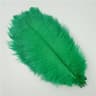 10Pack Colored Ostrich Feathers For Crafts  Wedding Centerpieces 620in 7