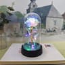 Eternal Rose In Glass Dome With LED Lights  Romantic Eternal Rose Gift Night Light For Her 18