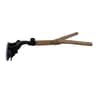 Suction Cup Window Bird Perch Stand  Natural Wood Parrot Perch For Shower Travel  Training 7