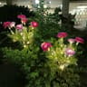 Solar Snow Lotus Garden Light  Waterproof Solar Flower Stake For Outdoor Pathway  Patio Decor 6