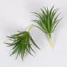 Mini Lifelike Artificial Succulent Plants  Modern Faux Cactus Decor For Home  Office 6