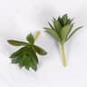 Mini Lifelike Artificial Succulent Plants  Modern Faux Cactus Decor For Home  Office 7