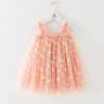 Daisy Princess Toddler Girl Dress For Birthdays Weddings  Summer Parties 3