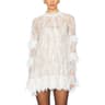 Elegant Floral Sheer Lace Mini Dress  Long Sleeve See Through Mesh Dress For Party  Cocktail Nights 1