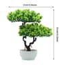 ZenLife Artificial Bonsai Tree  Realistic Fake Bonsai Tree For Desk Office  Home Decor 7