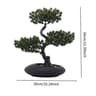ZenLife Artificial Bonsai Tree  Realistic Fake Bonsai Tree For Desk Office  Home Decor 10